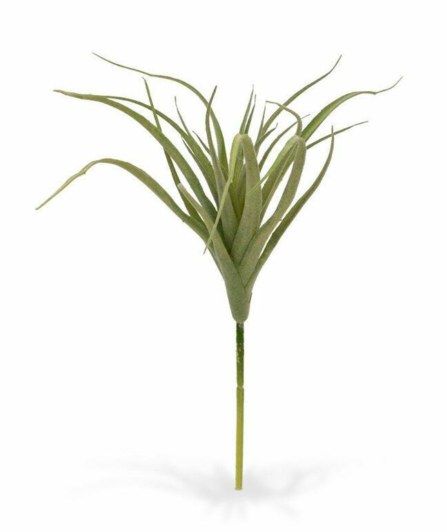 Umelá rastlina Tilandsia 20 cm