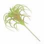 Umelá rastlina Tillandsia 14 cm