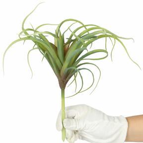Artificial plant Tillandsia 15 cm