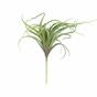 Umelá rastlina Tillandsia 15 cm