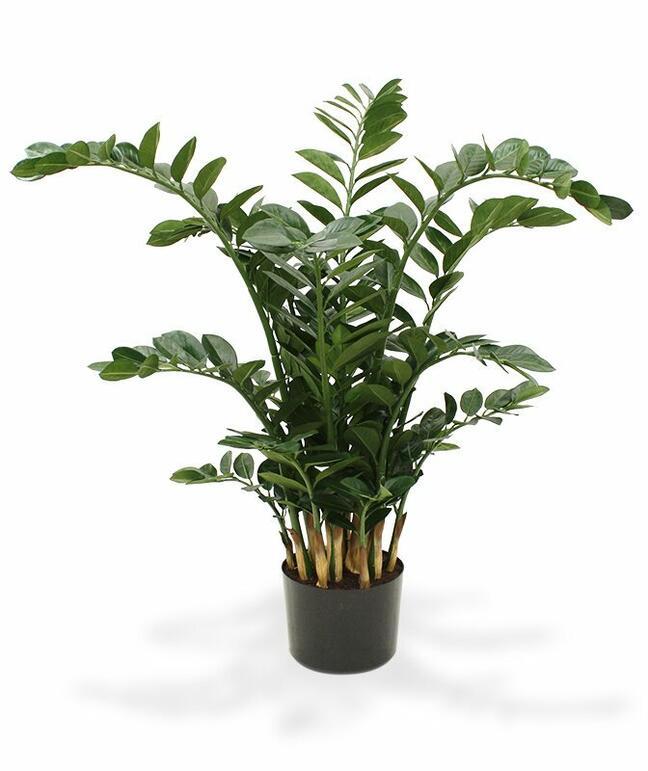 Umelá rastlina Zamiokulkas 120 cm
