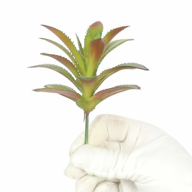 Umelý sukulent Aeonium Arboreum 14 cm
