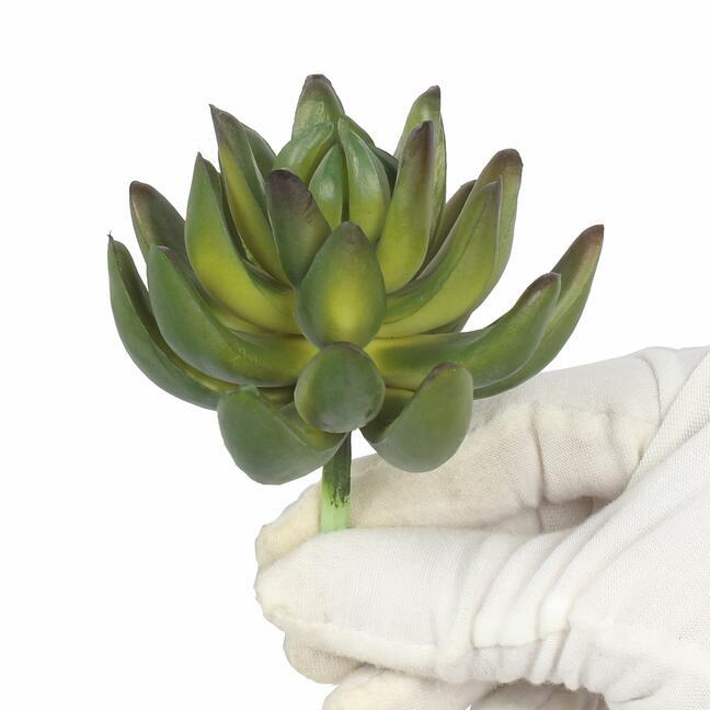 Umelý sukulent Echeveria zelená 10 cm