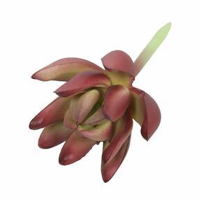 Artificial succulent Lotus Crassula 10 cm