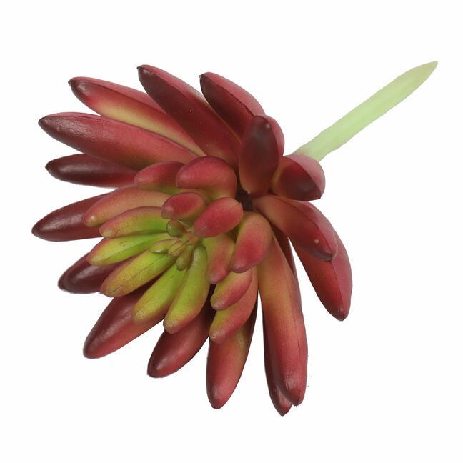 Umelý sukulent lotus Eševéria bordový 10,5 cm
