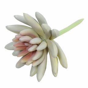 Artificial succulent Lotus Echeveria white 10.5 cm