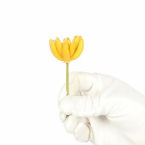 Umelý sukulent lotos Eševéria žltá 9 cm