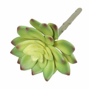 Artificial succulent Lotus Guanyin 13,5 cm