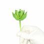 Umelý sukulent lotos Sedum 10 cm