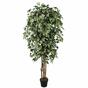 Artificial tree Ficus Benjamin green-white 170 cm