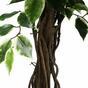 Umelý strom Fikus liana 150 cm