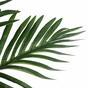 Umelá tropická palma 76 cm