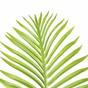 Umelá tropická palma 160 cm