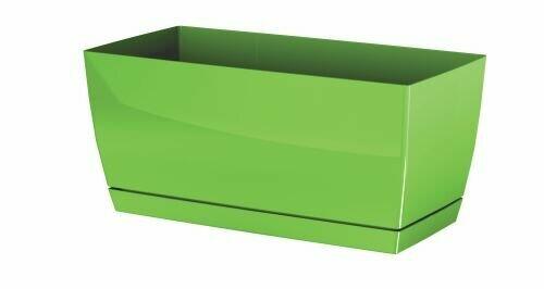 COUBI CASE P box with olive bowl 39 cm