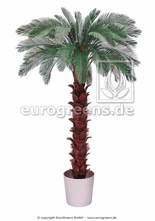 Umelá palma Cycas 300 cm