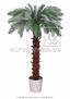 Umelá palma Cycas 300 cm