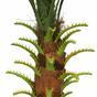 Umelá palma Datľovník 80 cm