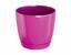 Flowerpot COUBI ROUND P with a bowl of fuchsia 12cm