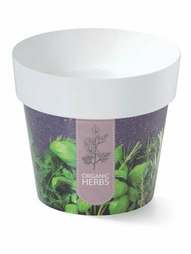 Flowerpot IML herbs H1, 12cm