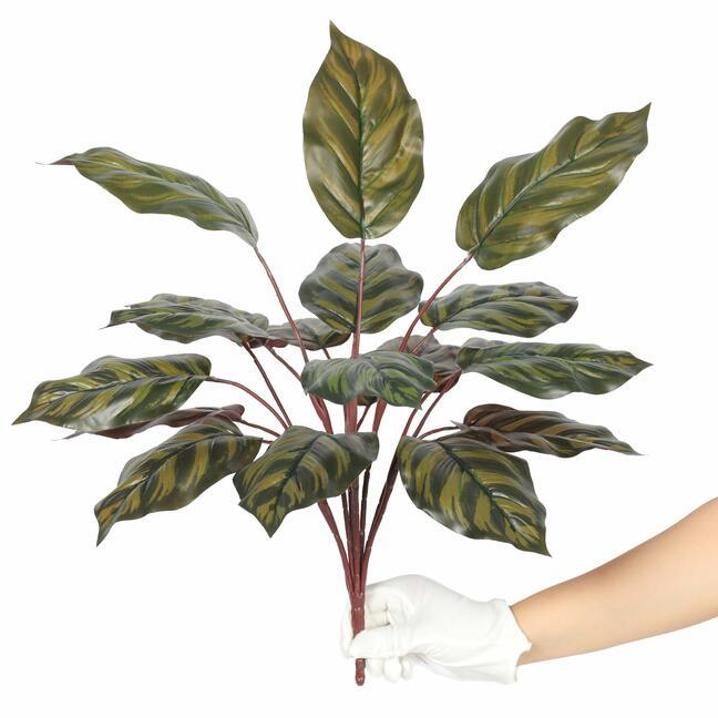 Umelá rastlina Kalatea 50 cm