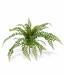 Umelá rastlina Rotundifolia 55 cm